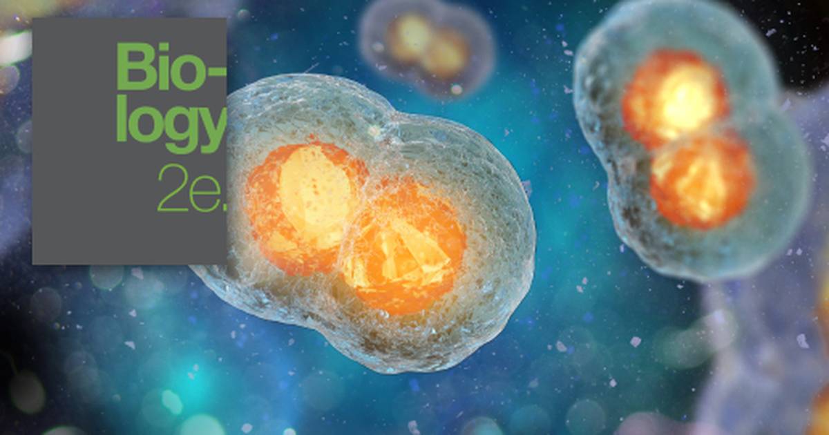 Key Terms Related to Cell Reproduction