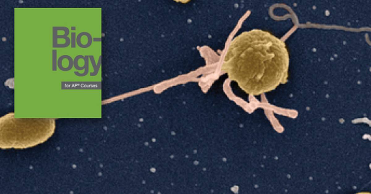 Introduction to Cell Structure