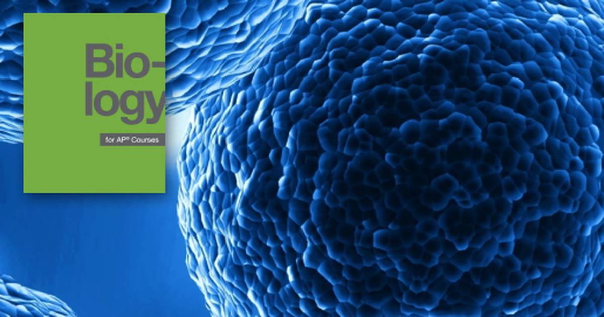 Key Terms Related to Cell Structure