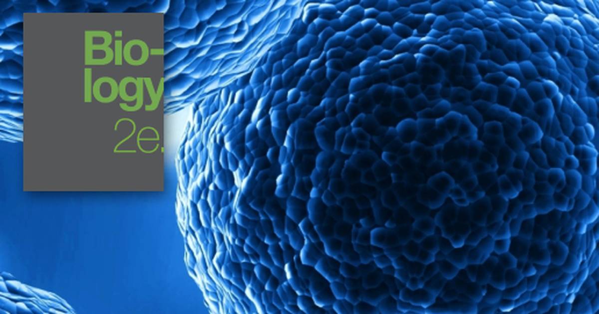 Key Terms Related to Cell Structure