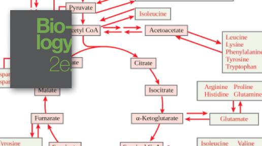 melanotan 2 toronto Melanotan II (Tan Jabs): Why They're Not Worth The Risk