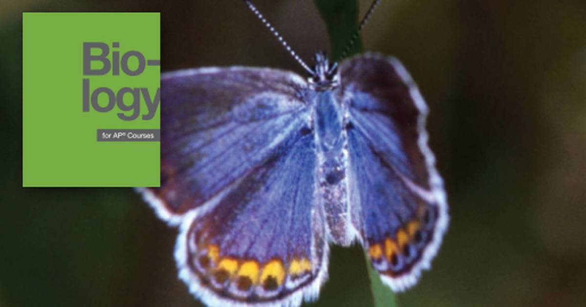 The Scope of Ecology