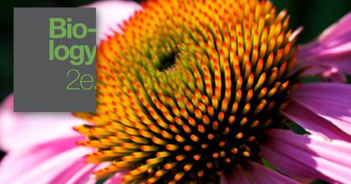 Understanding Evolution and Natural Selection