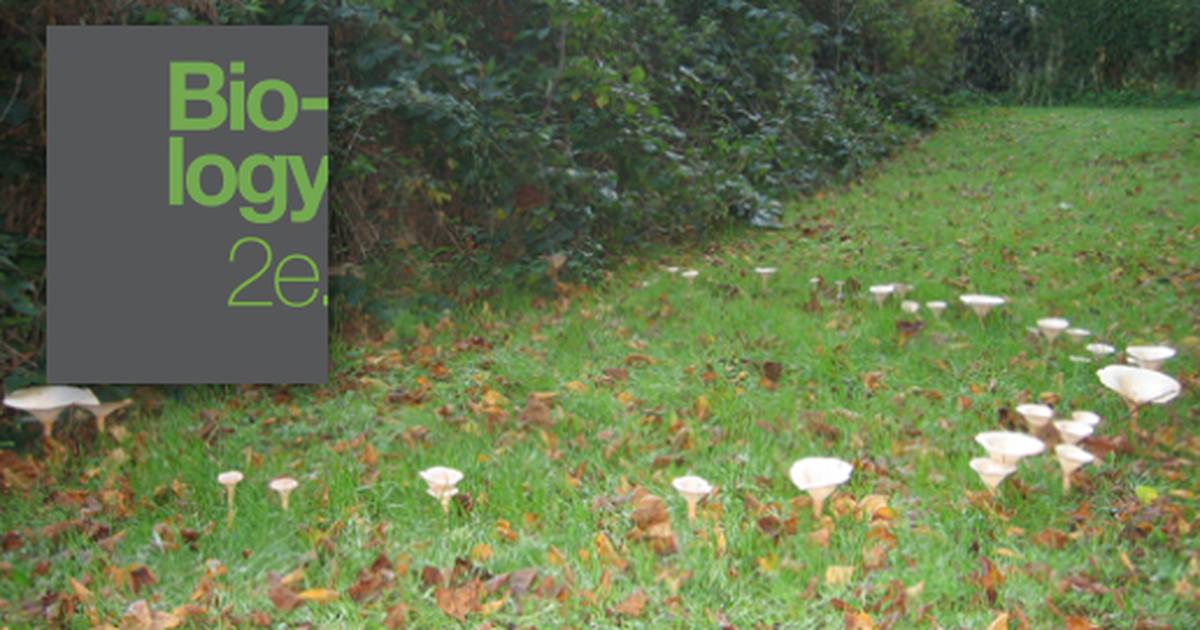 Characteristics of Fungi