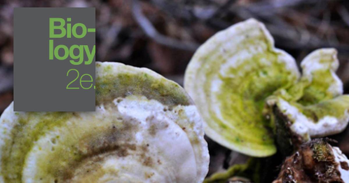 Ecology of Fungi
