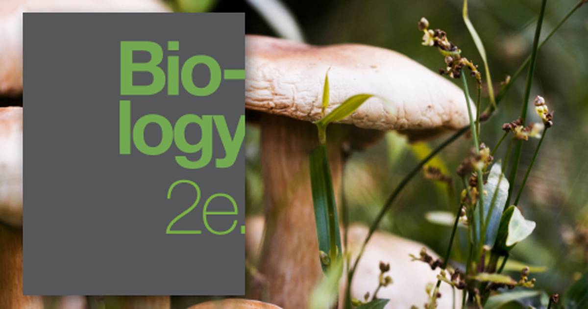 Fungi Characteristics, Classifications and Ecology