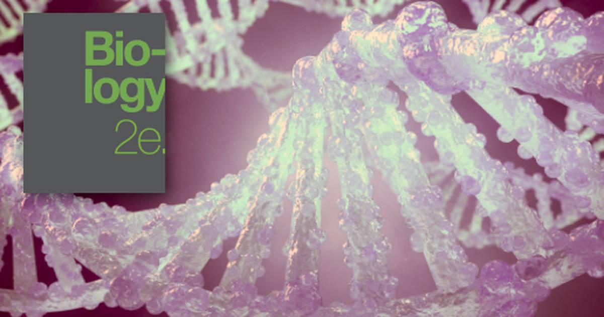 Key Terms Related to Genes and Proteins