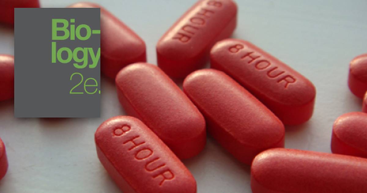 Enzymes and Metabolism