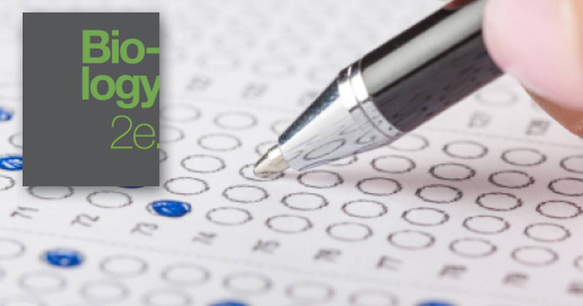 Review Questions Related to the Biochemical Process of Metabolism