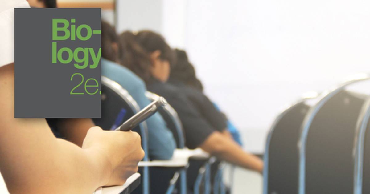 Critical Thinking Questions About Plant Form and Physiology