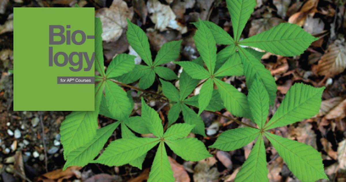 Leaves, Their Parts, Structure and Function