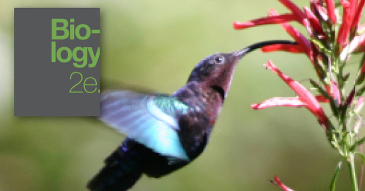 Introduction to Plant Reproduction