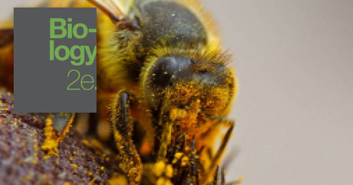Pollination and Fertilization