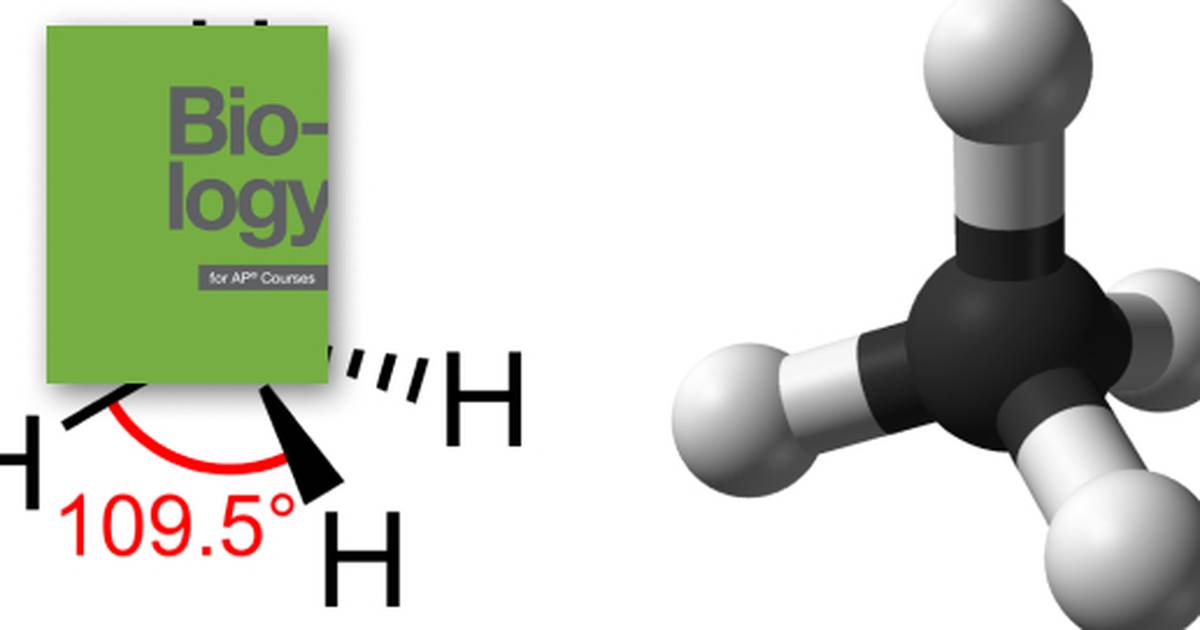 Carbon, Covalence, and Cellular Function