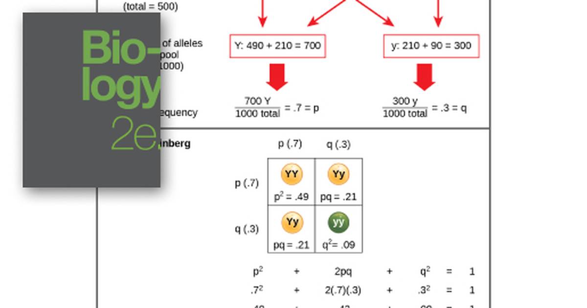 Population Evolution