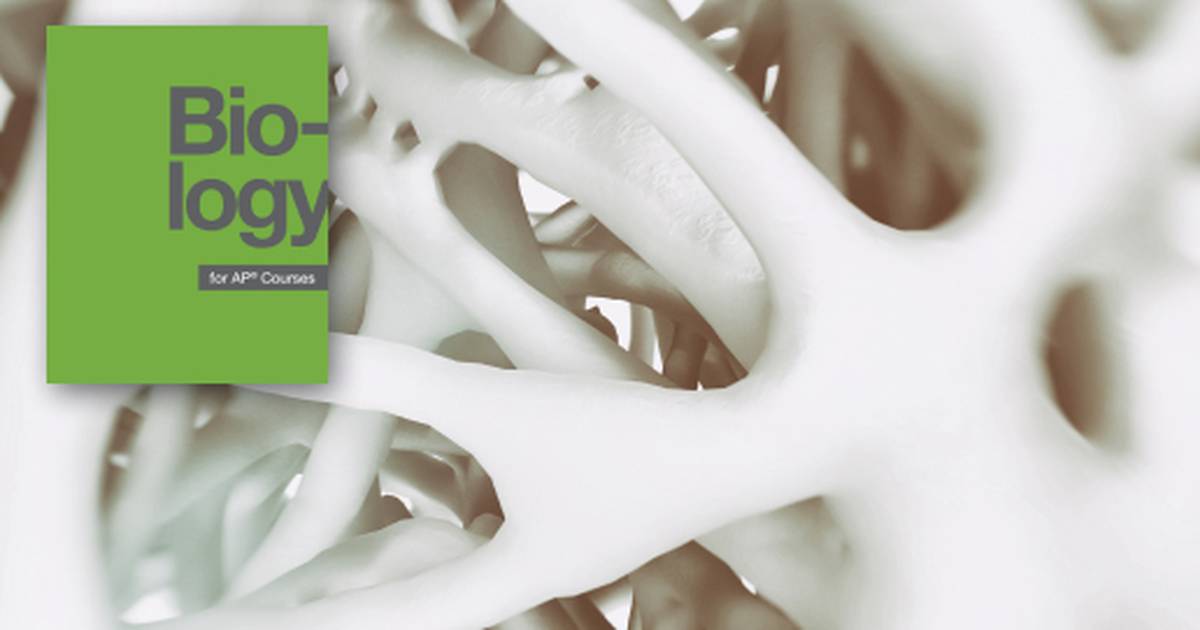 Summary of The Musculoskeletal System