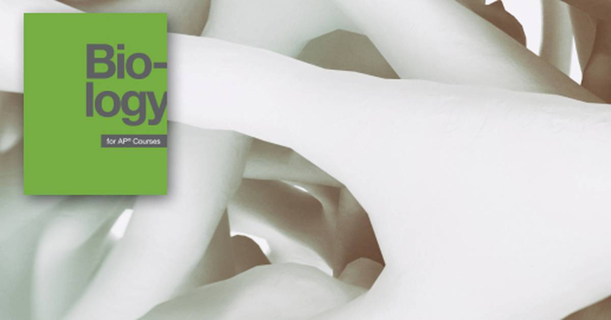 Key Terms Related to The Musculoskeletal System