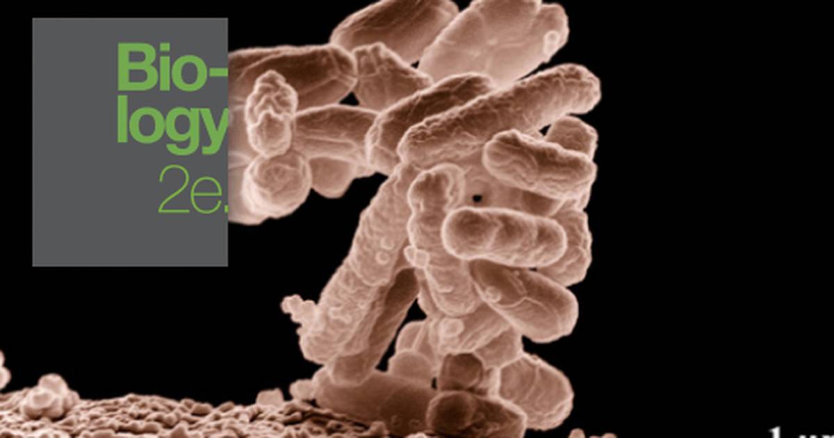 The Science of Biology