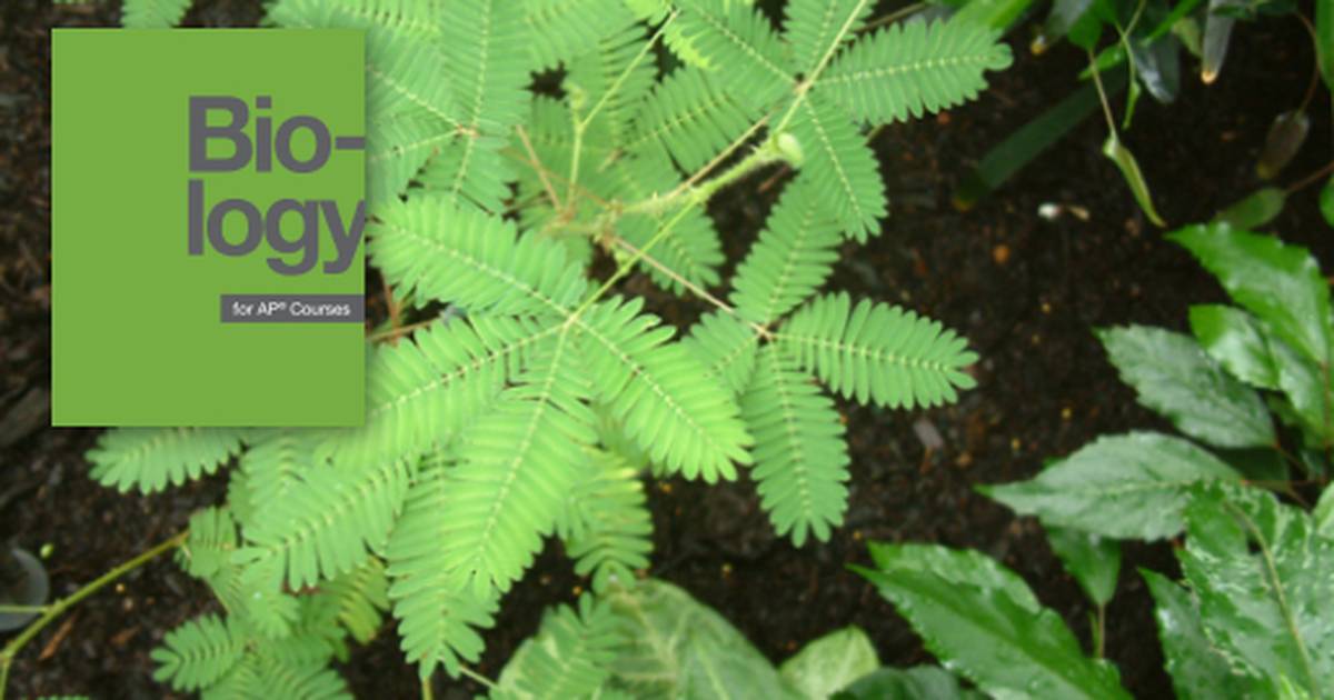 Themes and Concepts of Biology for AP® Courses