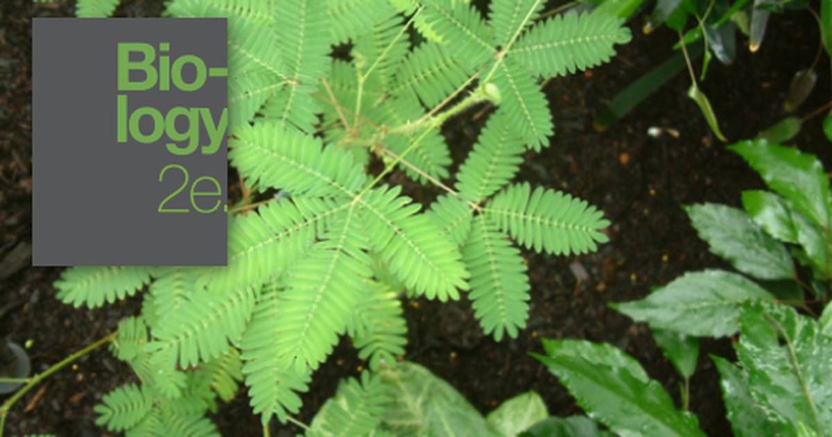 Themes and Concepts of Biology