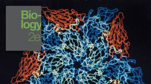アーベル多様体、シータ 関数、フーリエ変換 アレクサンダー・ポリシュチュク アーベル多様体、シータ 関数、フーリエ変換 アレクサンダー
