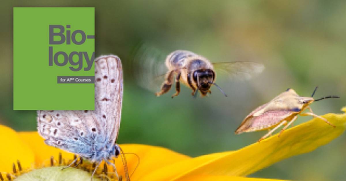 Summary of Conservation Biology and Biodiversity