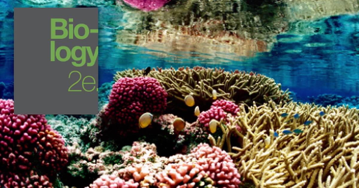 The Biodiversity Crisis