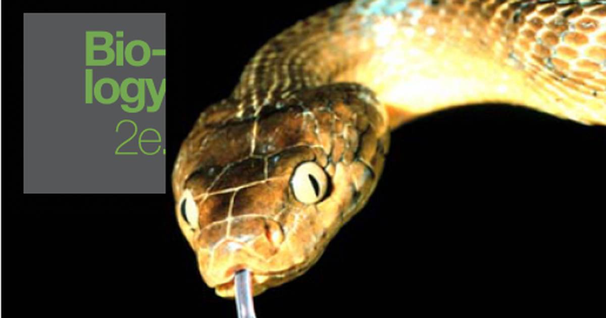 Threats to Biodiversity