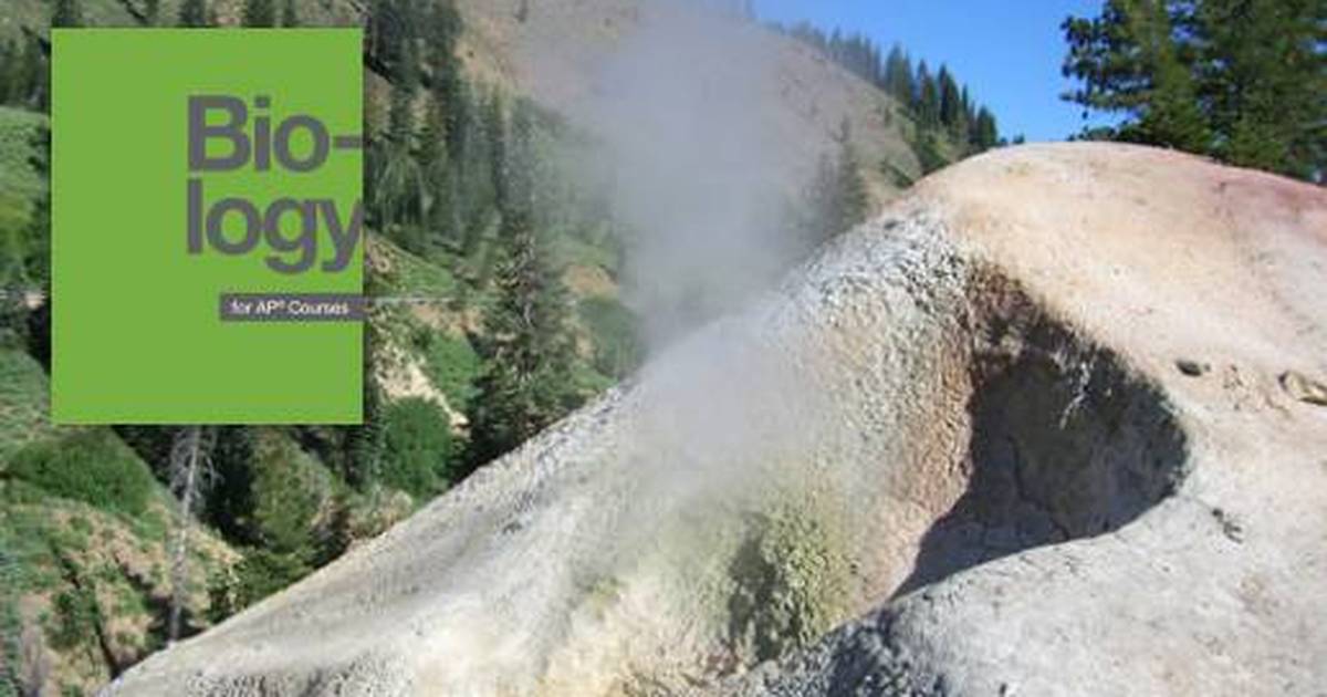 Biogeochemical Cycles of Nitrogen and Phosphorous
