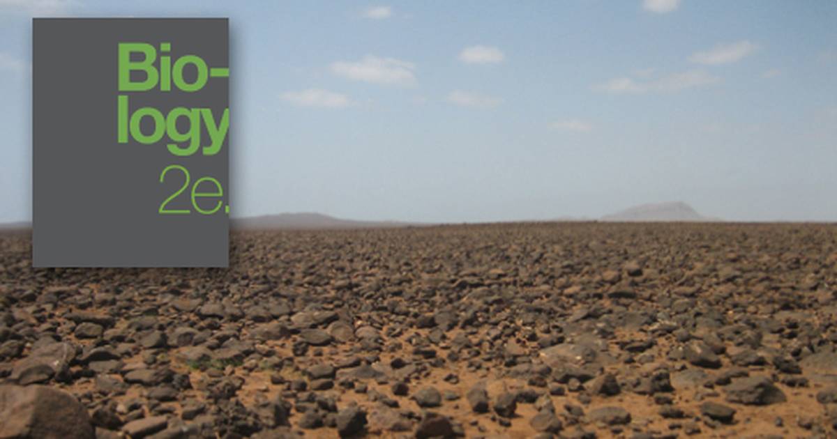 Ecology of Ecosystems
