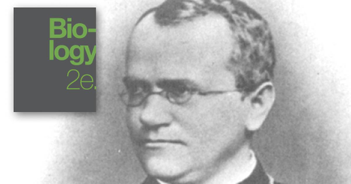Mendel’s Experiments and the Laws of Probability
