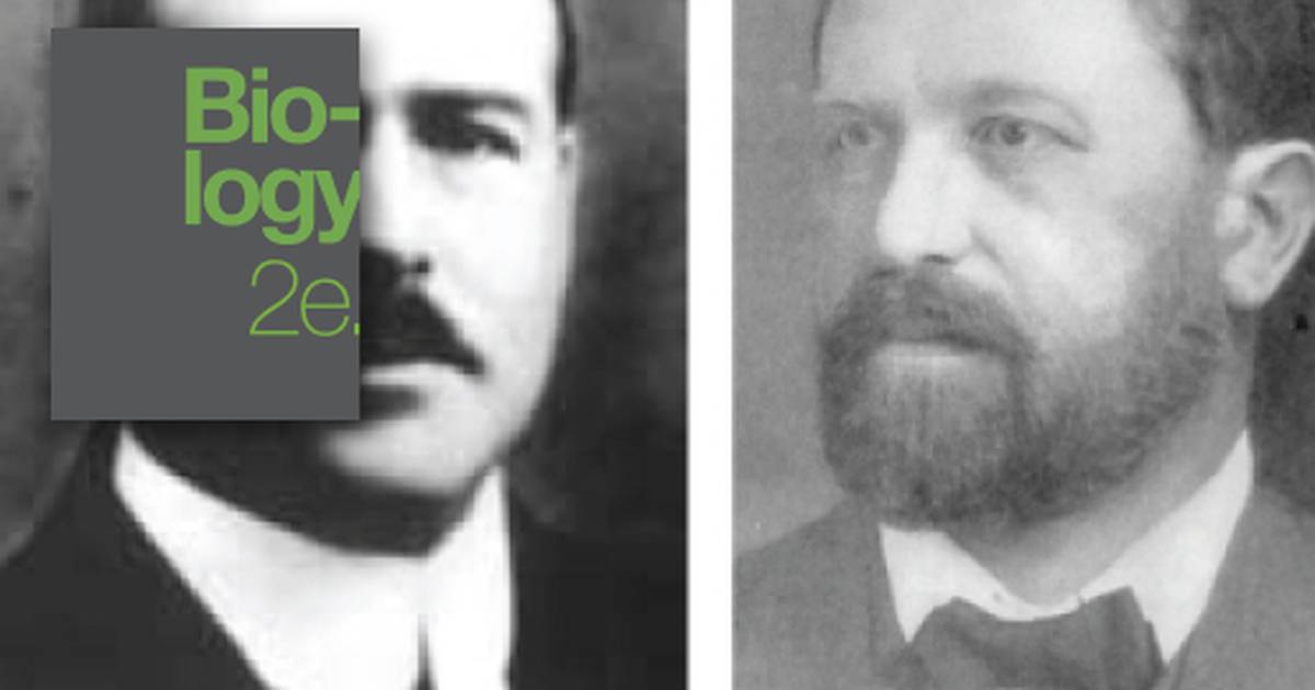 Chromosomal Theory and Genetic Linkage