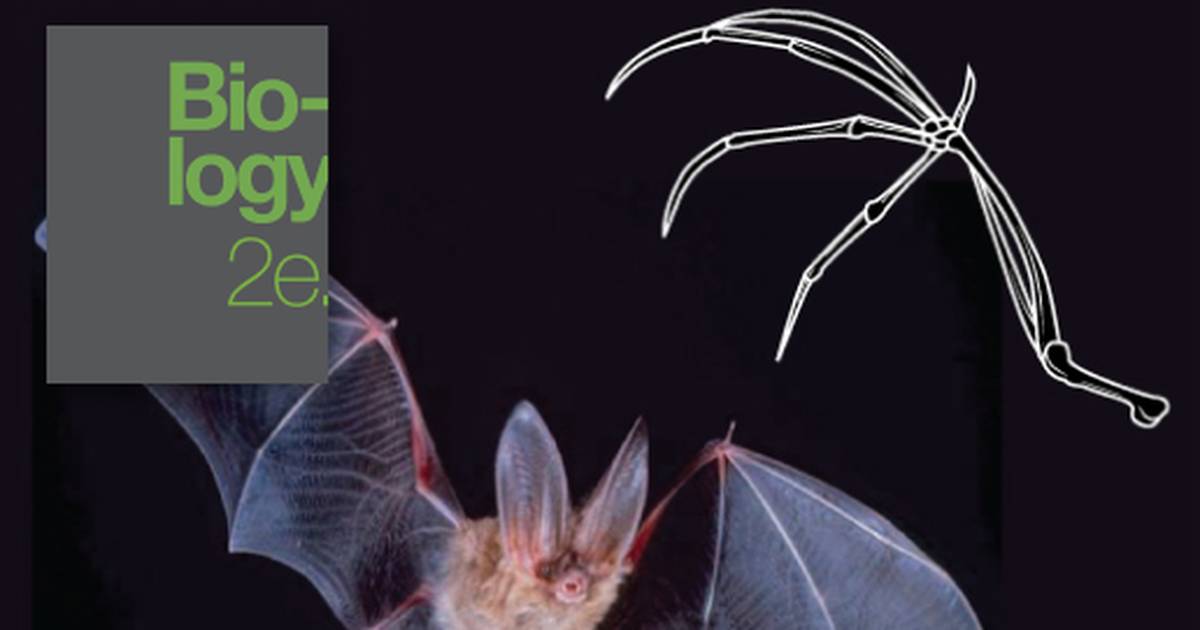 Determining Evolutionary Relationships