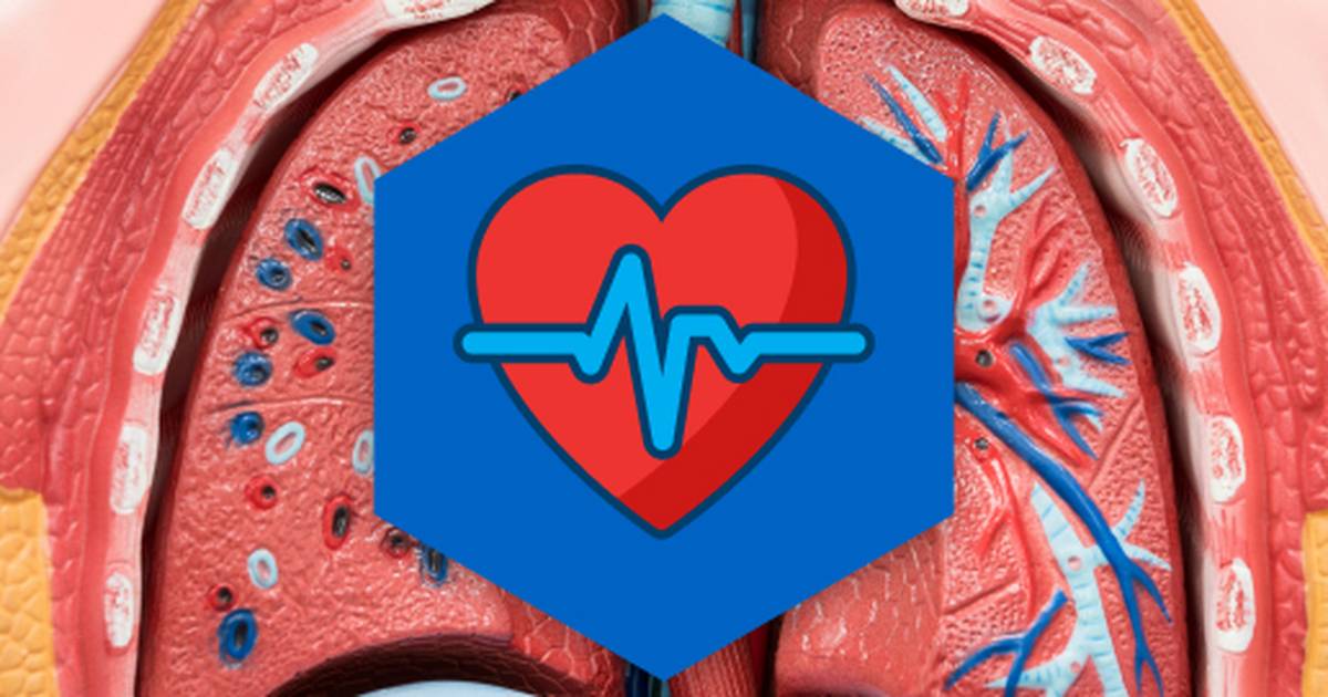 Body Systems and Homeostasis