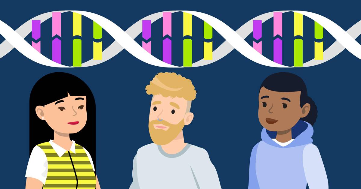 The Geographical Distribution of Human Genetic Variation