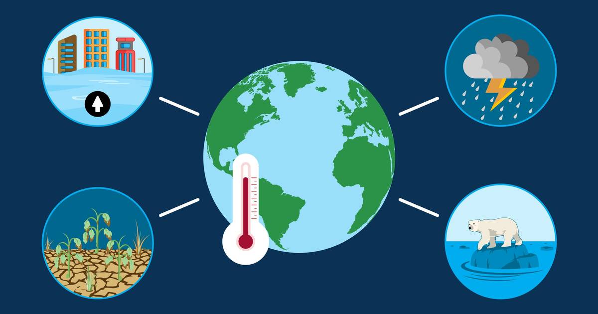 Effects of Global Warming