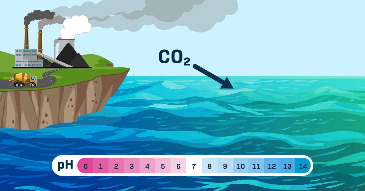 Ocean Acidification