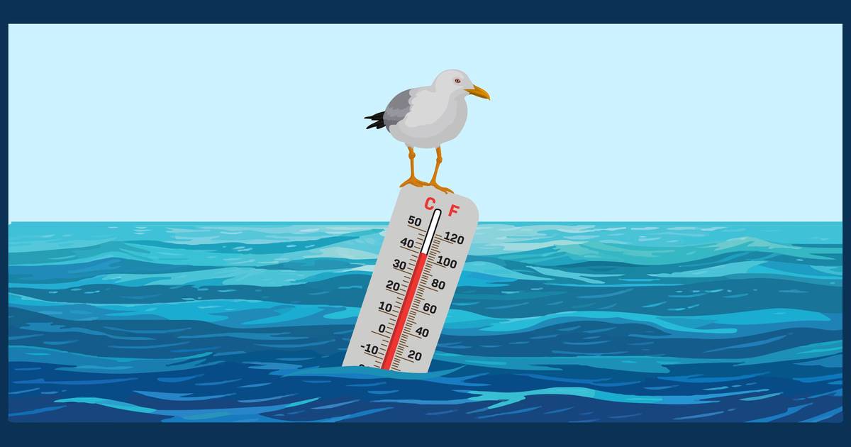 Worksheet: Ocean Warming