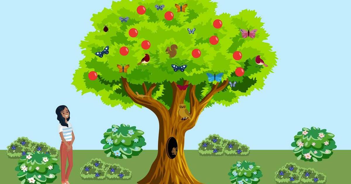 Biodiversity and Human Impact