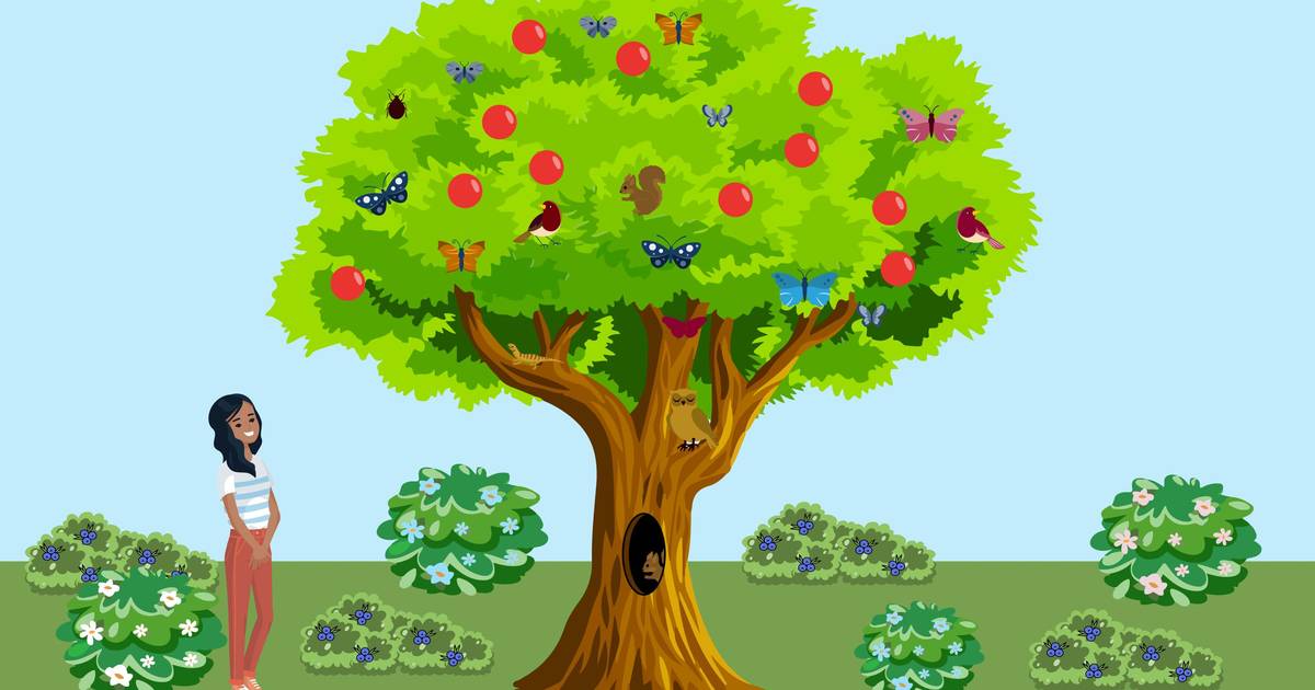 Worksheet: Biodiversity and Human Impact
