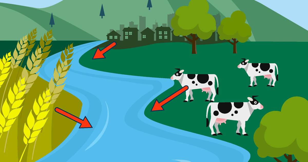 Point and Nonpoint Pollution