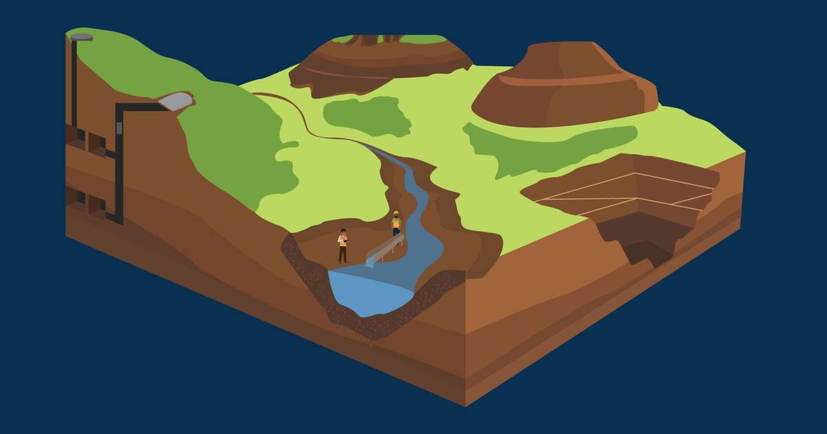 Human Activities Affecting Terrestrial Ecosystems
