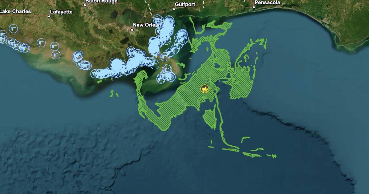 The Role of GIS in the Deepwater Horizon Oil Spill