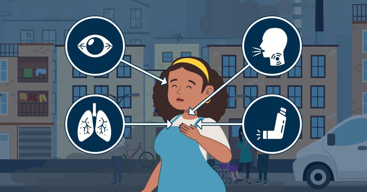 Worksheet: Effects of Air Pollution on Human Health