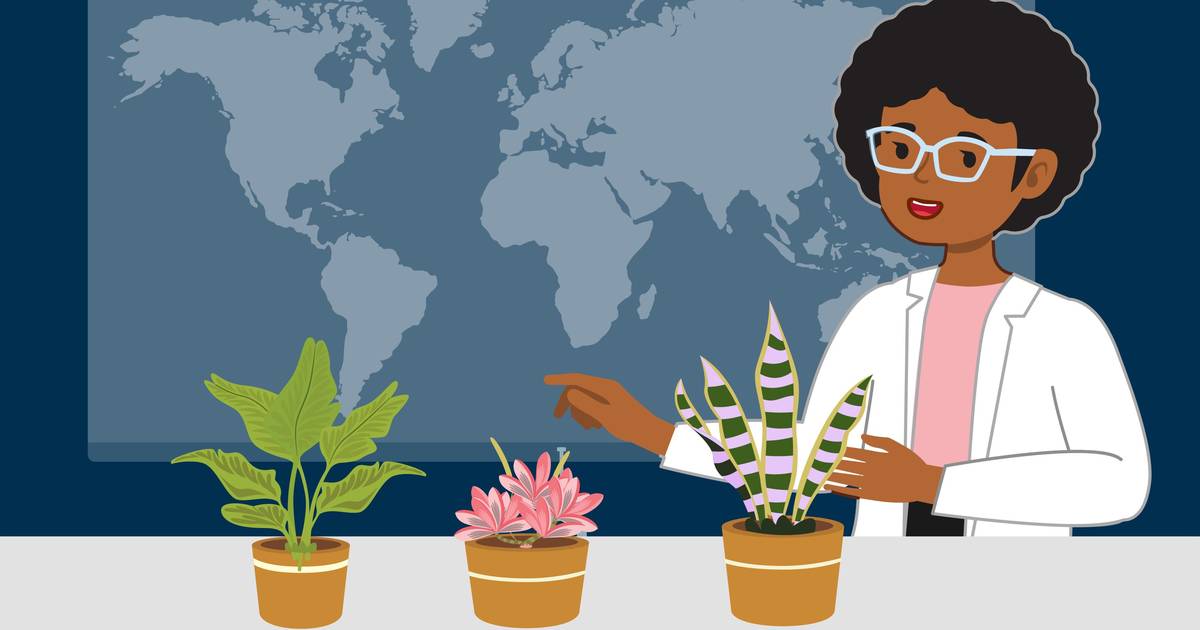 What Is Culturally Relevant Pedagogy?