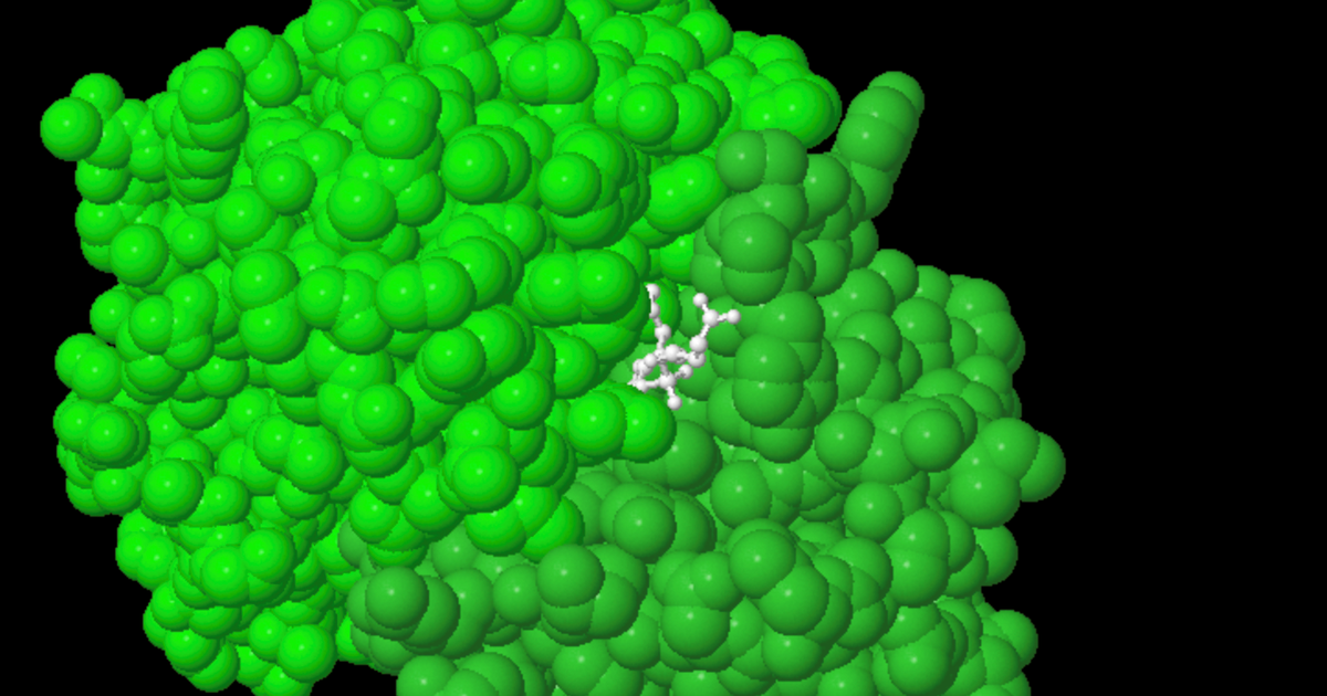 3D Exploration of Bound Antibody and Antigen