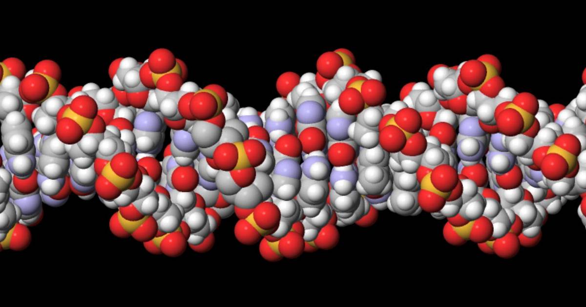 DNA: The Double Helix