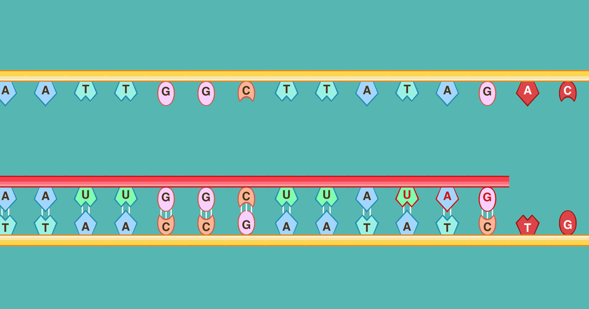 Mutations