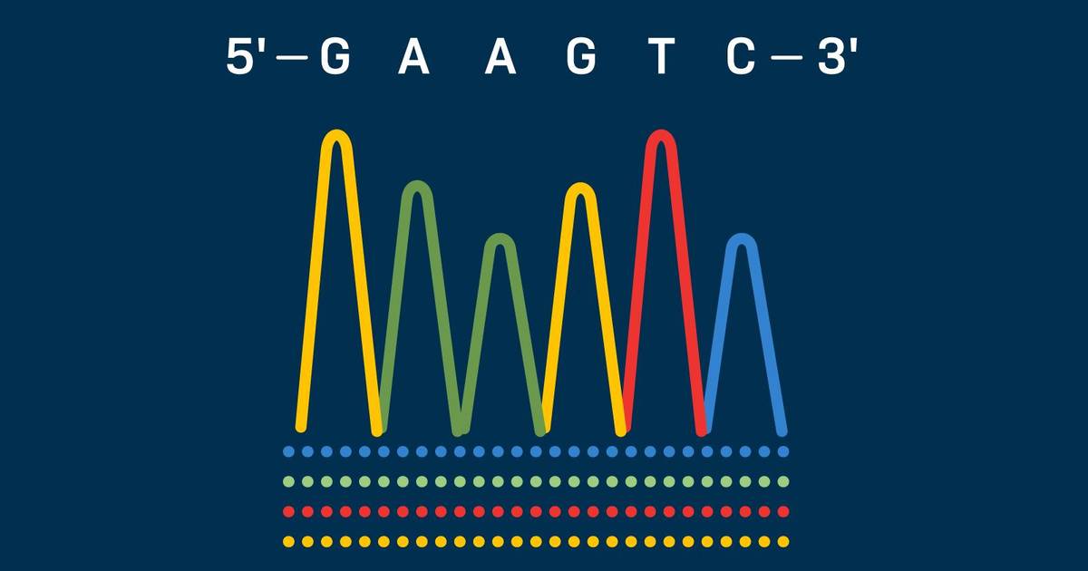 An Overview of DNA Sequencing