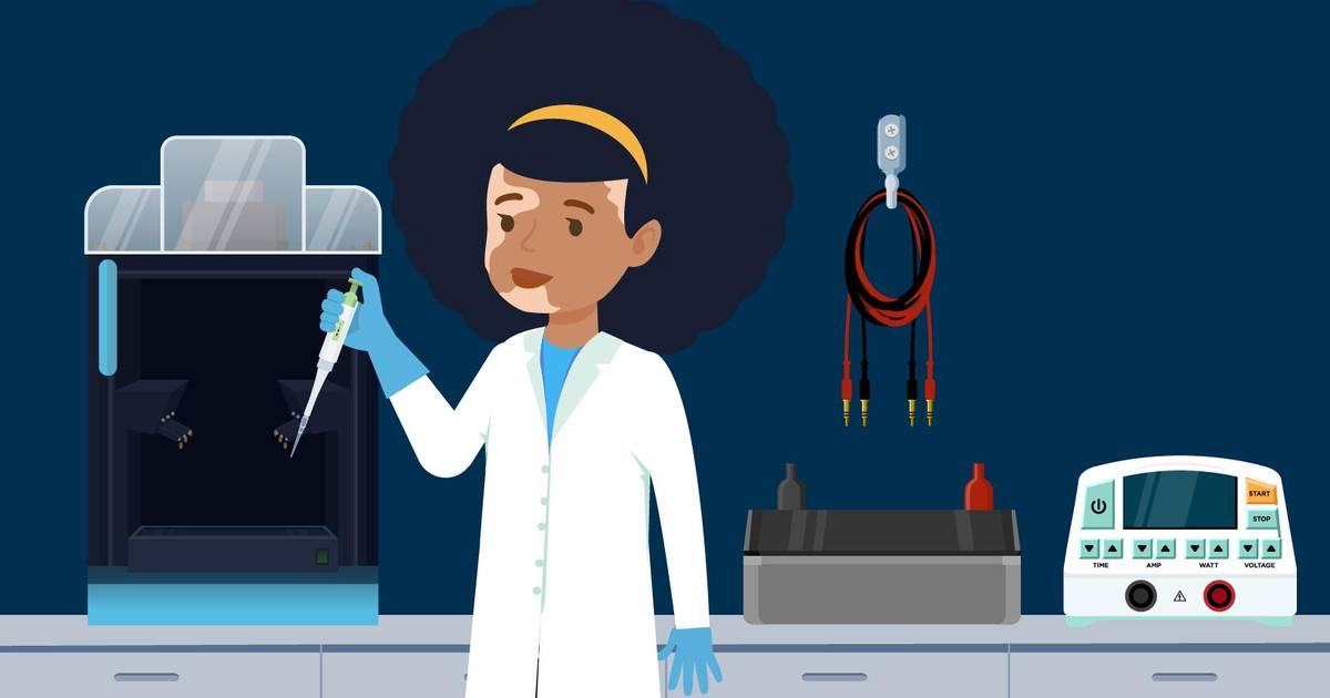 How to Perform an Immunoblot